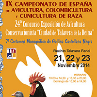 Imagen del Evento